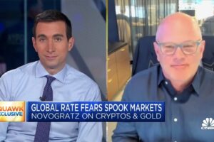 I do not expect a catastrophic fall in bitcoin prices, says Galaxy Digital CEO Mike Novogratz